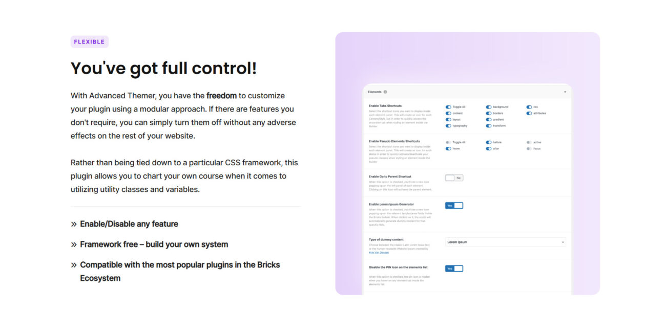 Customizable plugin features and flexibility options displayed.