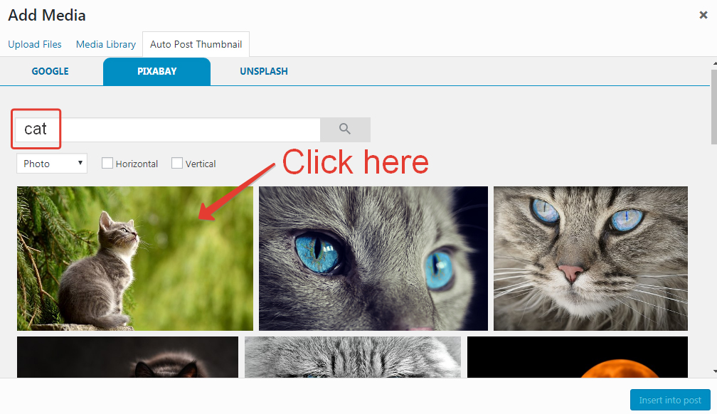 Media library showing cat image search results.
