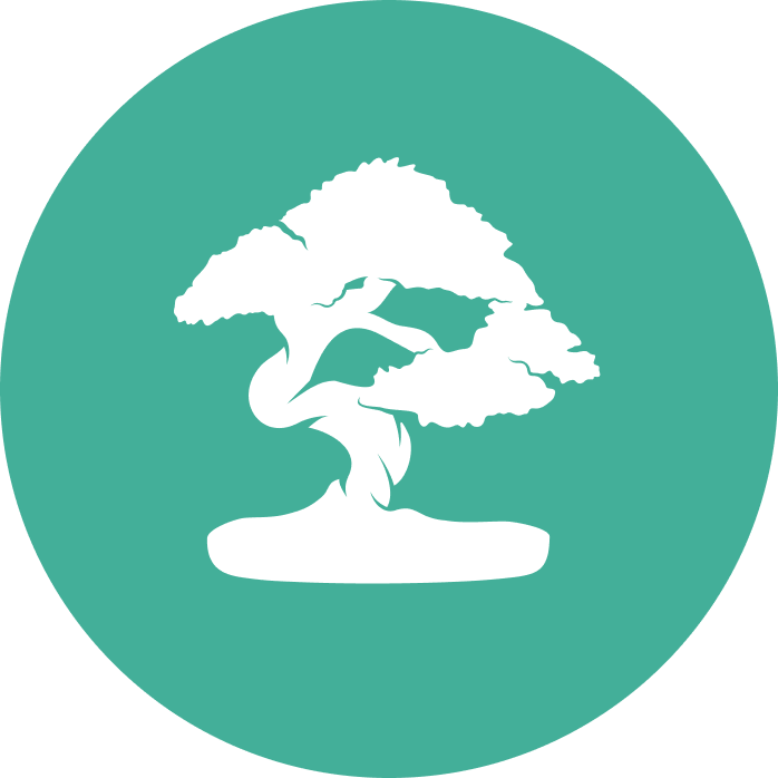 Silhouette of bonsai tree on green circle