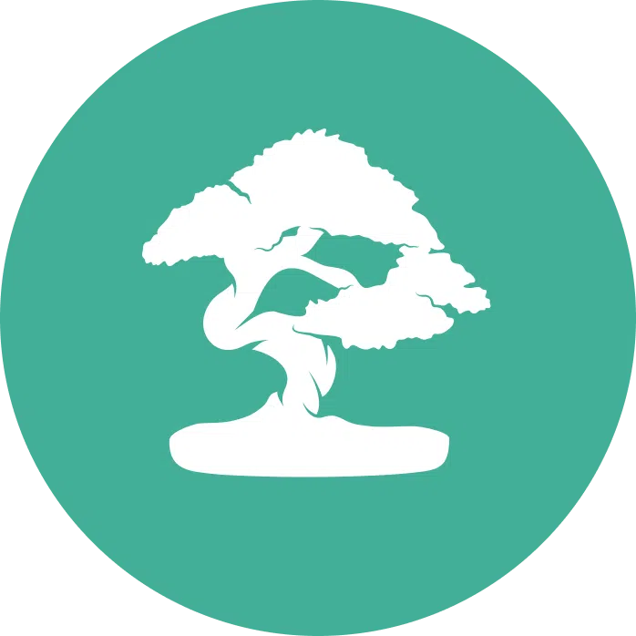 Silhouette of bonsai tree on green circle