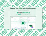 Boost sales with WowRevenue ecommerce analytics.