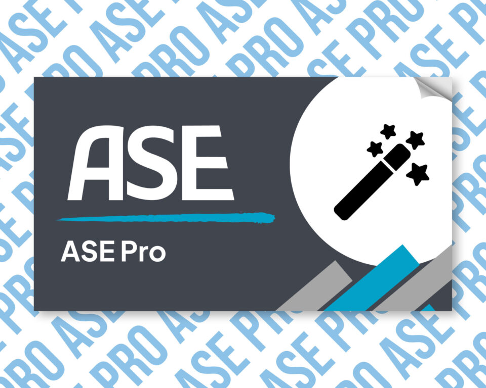 ASE Pro software branding with magic wand icon.