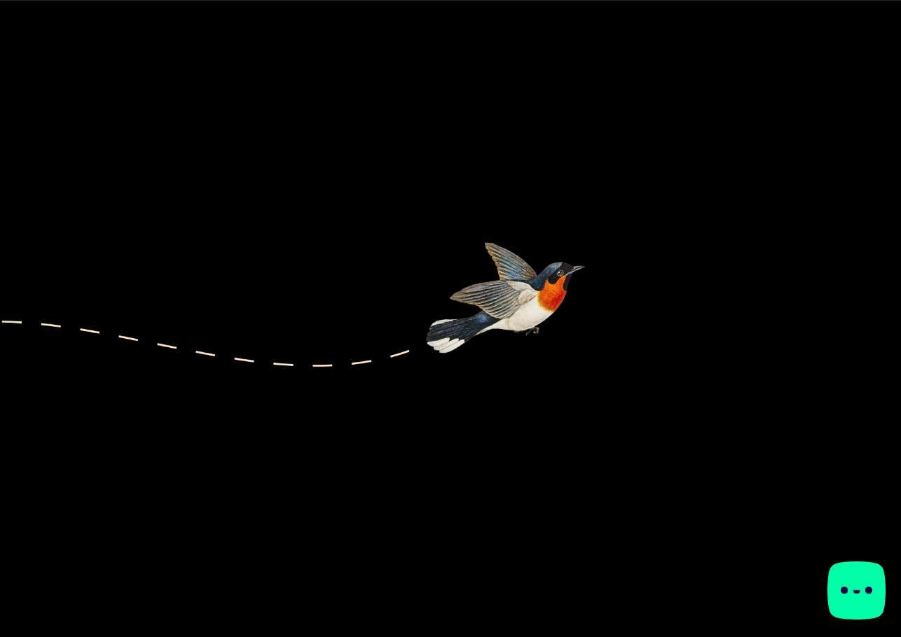 Colorful bird flying with dashed line trail.